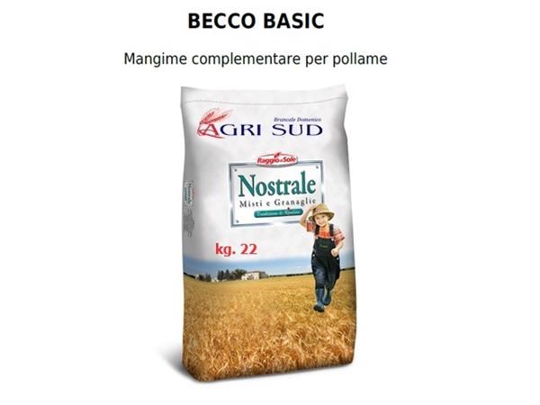 Becco Basic kg 22