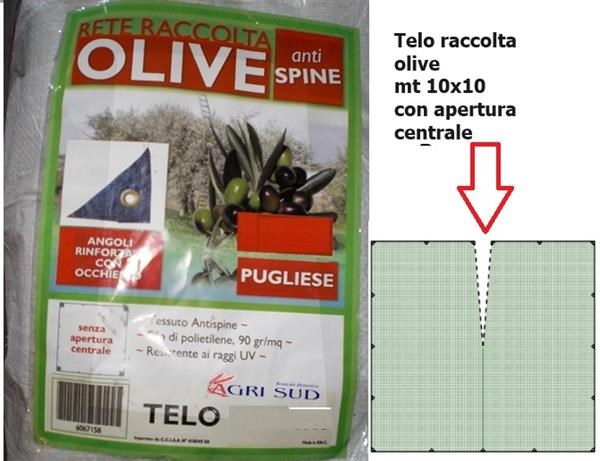 Rete Antispina Racc. Olive Telo 10x10 (spacco centrale)