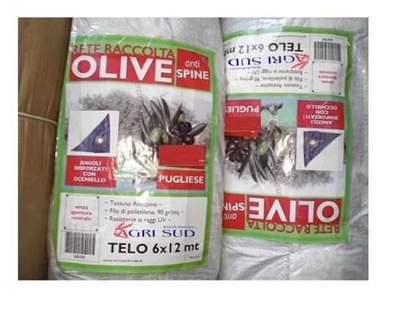 Rete Antispina Racc. Olive Telo 6x10 (intero)