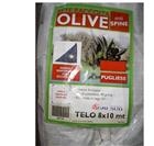 Rete Antispina Racc. Olive Telo 8x10 (intero)