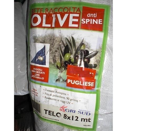 Rete Antispina Racc. Olive Telo 8x12 (intero)