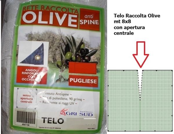 Rete Antispina Racc. Olive Telo 8x8 (spacco centrale)